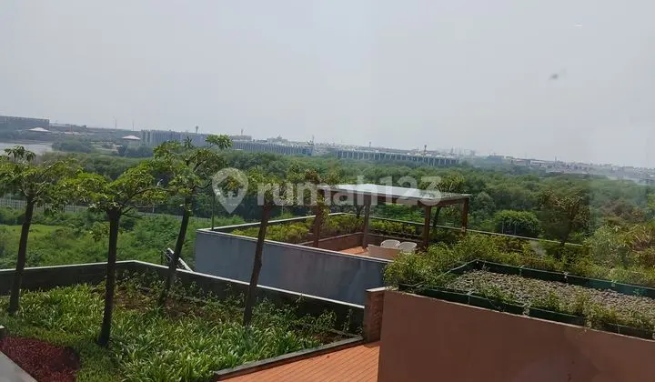 For Sale Goldcoast Apartment Honolulu Unit Lowzone Floor 2Br - 68 M2 Brand New Fully Furnished Complete & Good