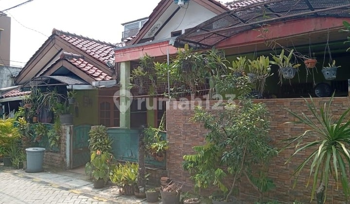 Jual Cepat 2 Rumah Jadi 1 di Komplek Pinang Indah, Pinang, Tangerang