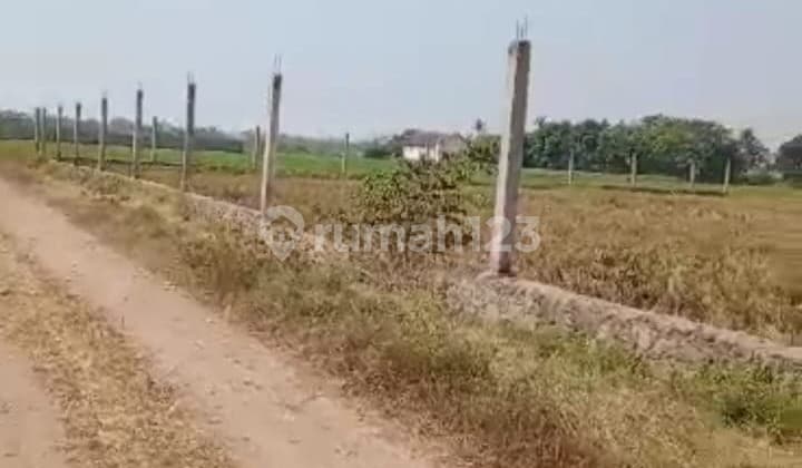 Land in Kampung Pulo, Mauk Raya - Tangerang