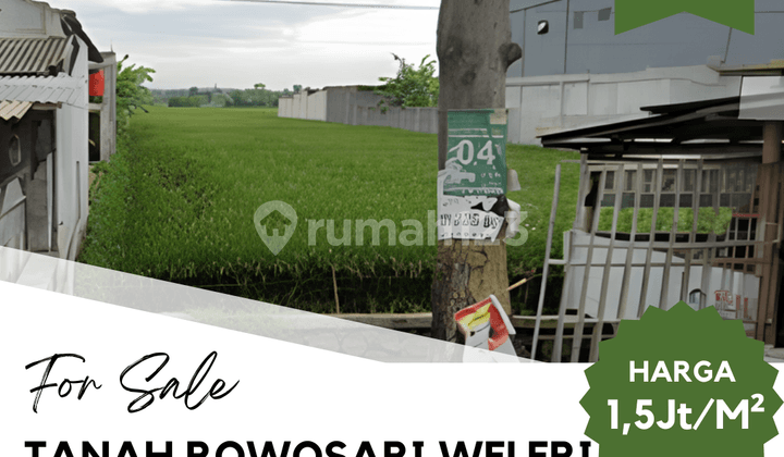 Dijual Tanah Rowosari Weleri
