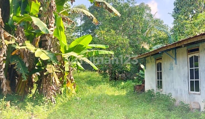 Land in Limbangan Boja