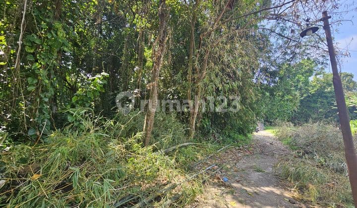 Dijual Tanah Super Langka Pink Zone Area Braban Tanah Lot