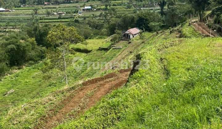 Jual Tanah View Bukit, Gunung Di Baturiti Bedugul Bali