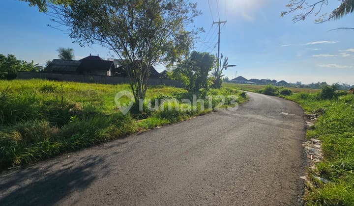 For Sale Land Located in Buwit, Kaba Kaba, Tabanan
