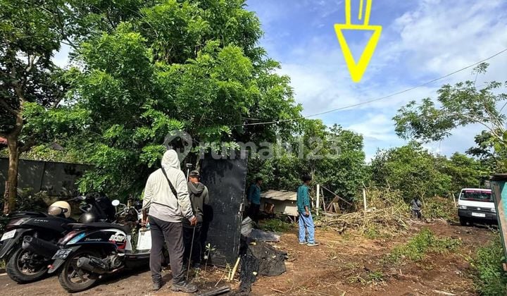 Land For Sale Located at Pondok Kampial, Jln Dharmawangsa, Nusadua