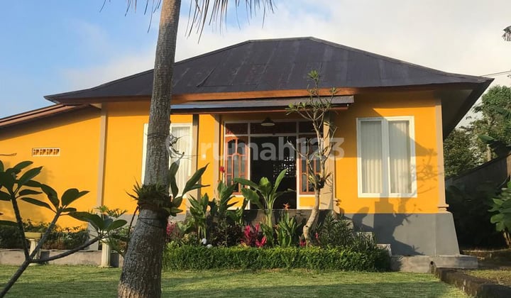 Beautiful Villa For Rent In Wanagiri, Bedugul, Singaraja, Bali!