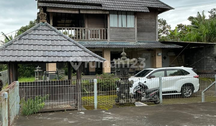 Bonus Land for Villa in the Cool Area of Bedugul - Pancasari