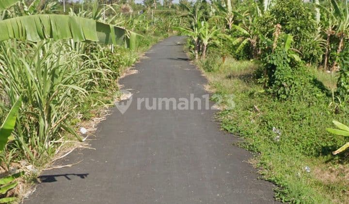 Di Jual Tanah Kavling Mulai 1 Arelokasi di Padang Galak Sanur