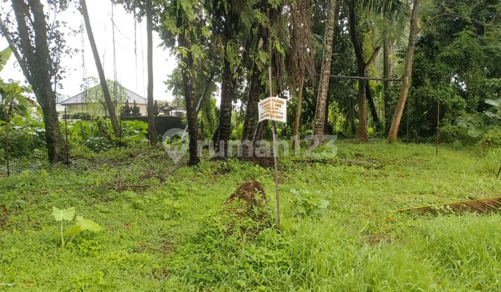 Land in Singakerta, Ubud, Location After Nyuh Kuning Bridge