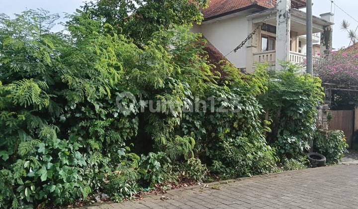 For Sale 3 Allocated Land Plots on Trenggana Penatih Road