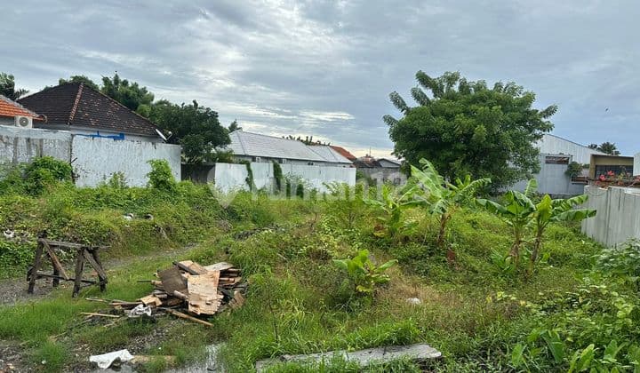 For Sale Land Location Krobokan Behind Bali Kiddy