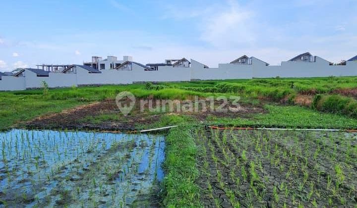 Dijual Tanah Murah Di Kawasan Pantai Seseh