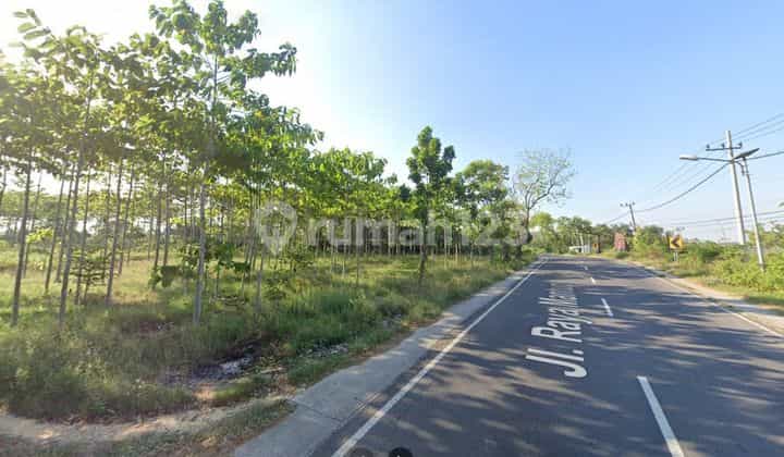 Tanah Industri Pergudangan Raya Mantup Lamongan Tanah Industri Pergudangan Raya Mantup Lamongan