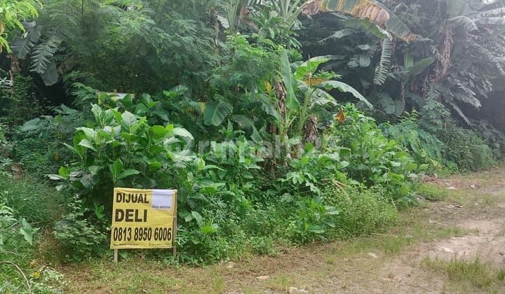 Kavling Murah, Culdesak, Bebas Banjir Dalam Cluster Perumahan Bumi Mutiara Bojong Kulur, Bogor