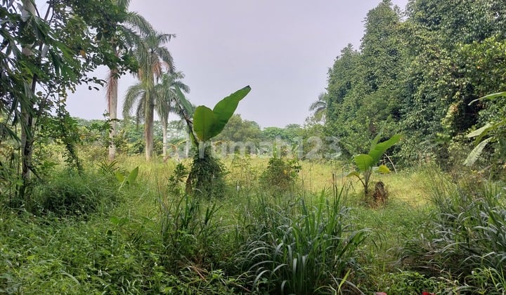 Kavling Siap Bangun Cipenjo Dekat Harvest Cileungsi