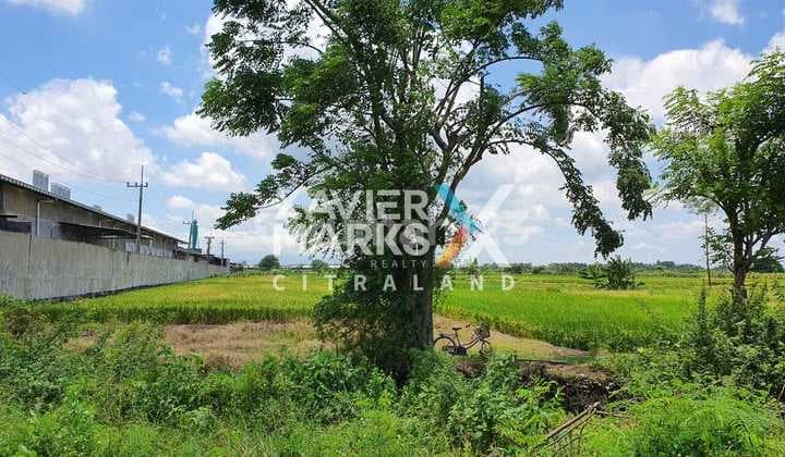 Dijual Lahan Industry di Bringkang Menganti Gresik Strategis