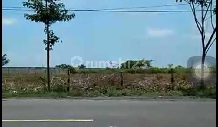 Industrial Land in Tuban Near Widang Subdistrict Toll Road