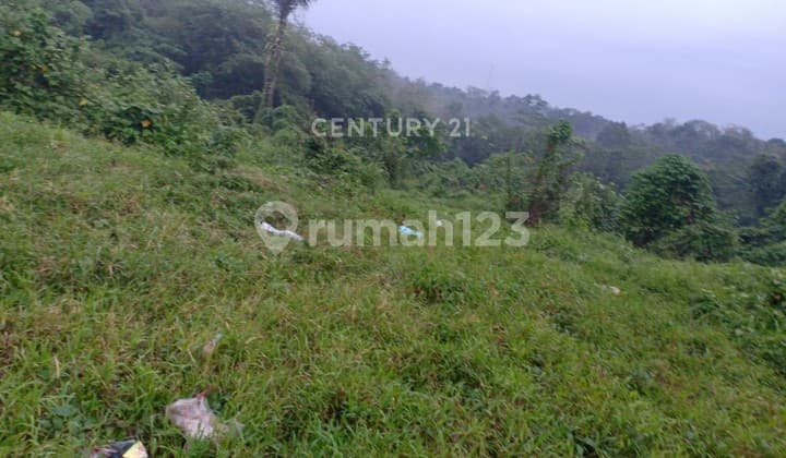 Tanah Gunung Geulis Cocok untuk Resort Dekat Hambalang Sentul