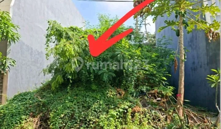 Jual Kavling Koala Regency Semolowaru Araya Siap Bangun 600jtan Jual Kavling Koala Regency Semolowaru Araya Siap Bangun 600jtan