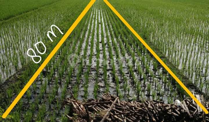 Tanah Di Bantul Yoyakarta Siap Bangun Dengan Luas 401 M2