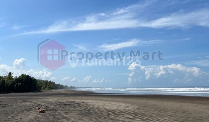 Tanah Datar Untuk Vila & Commercials Di Bali - Denpasar Gilimanuk