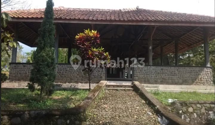 Dijual Tanah Cocok Untuk Villa Di Ciomas Nambo Bogor