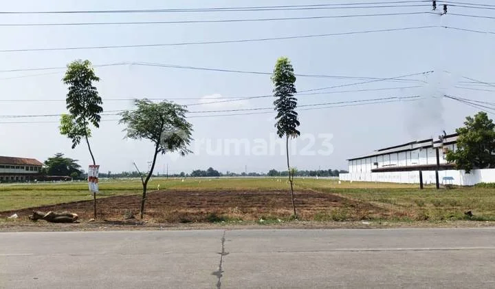 Dijual Tanah Luas Lokasi Tengah Kota Pati Jawa Tengah Dijual Tanah Luas Lokasi Tengah Kota Pati Jawa Tengah