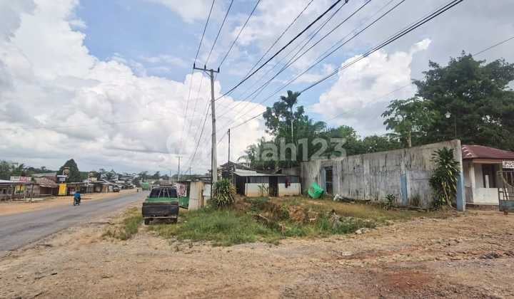 DIJUAL Tanah Pinggir Jalan Raya Kumai Kalimantan Tengah