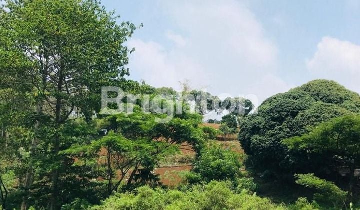 Cheap Land in Junrejo, Batu, Perfect for Agriculture or a Hidden Gem Cafe. Cheap Land in Junrejo, Batu, Perfect for Agriculture or a Hidden Gem Cafe.