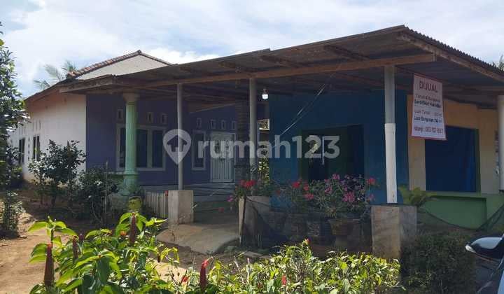 Rumah Dijual Desa Pinang Sebatang Bangka Tengah