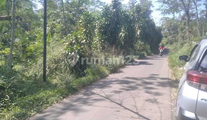 Tanah Di Sukabumi Jalan Bencoy Cireunghas