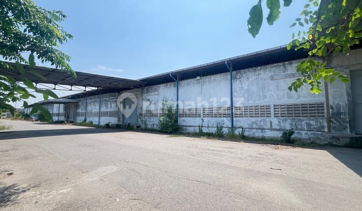 For Rent Industrial Warehouse Property in Tambak Sawah Waru Sidoarjo