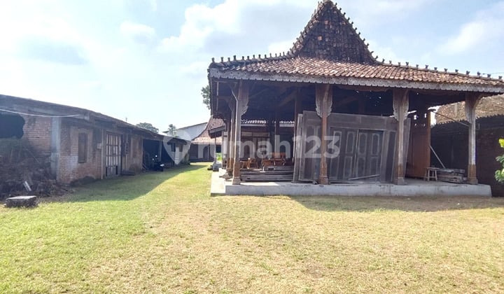 Jual Tanah Utk Usaha di Desa Wisata Mulyoharjo Jepara Dekat Alun2