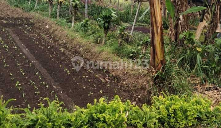 Tanah di Bulu Kerto Batu Malang, Malang SHM 1.156 m²