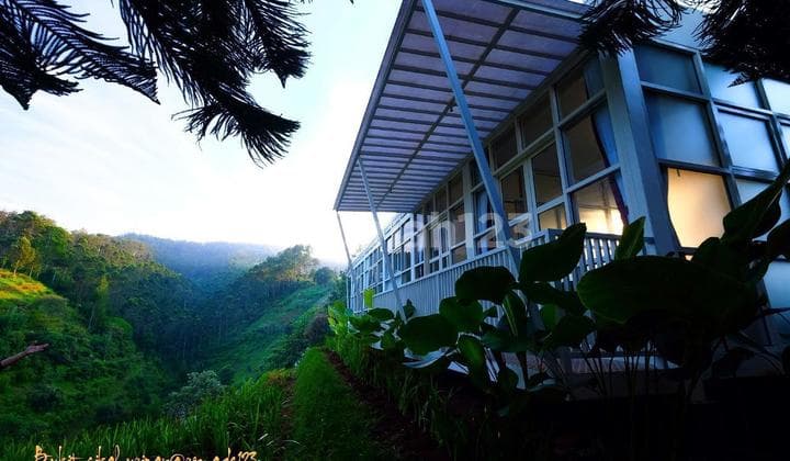 Dijual Lahan Premium 10 Hektar - Lembang, Bandung