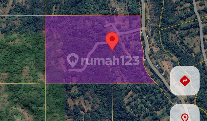 Tanah Buleleng Bali 92.500m2 Jual Cepat Shgb