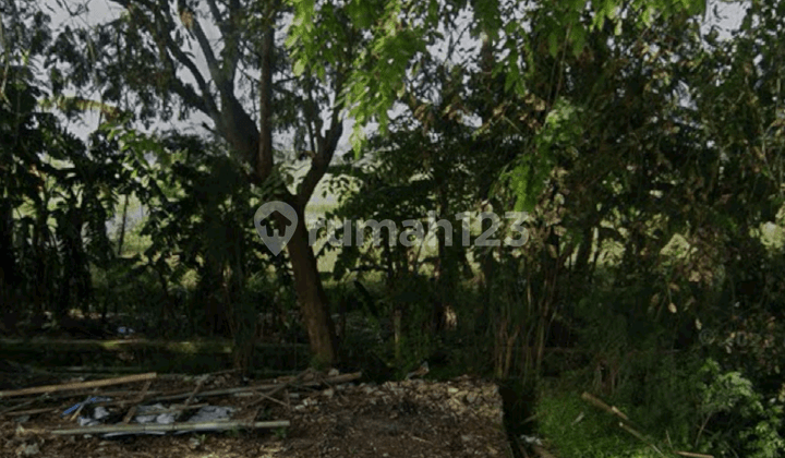 Land for Sale in Kelebet, Mauk, Kronjo, Tangerang – Quick Sale