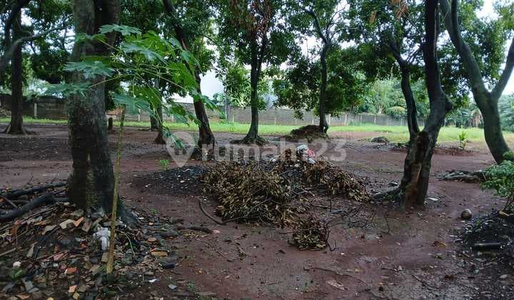 Lahan Strategis 3.488 M² di Cipayung Jaktim - Dekat Pintu Tol & Tmii, Ideal untuk Cluster