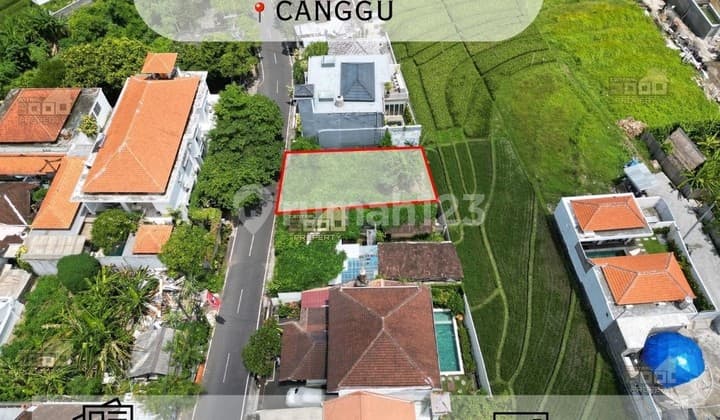 Freehold Land Canggu - Lokasi Strategis & Scenic Ricefield View