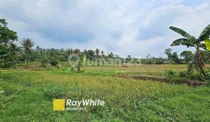 Kavling Tanah Di Klapanunggal, Kabupaten Bogor, di tepi jalan