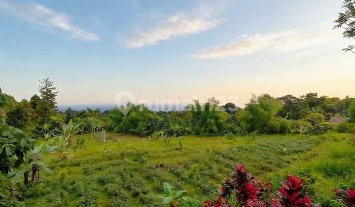 Jual Cepat & Harga Murah di Bogor Selatan Cocok untuk Wisata