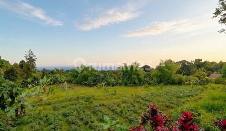 Jual Cepat & Harga Murah di Bogor Selatan Cocok untuk Wisata