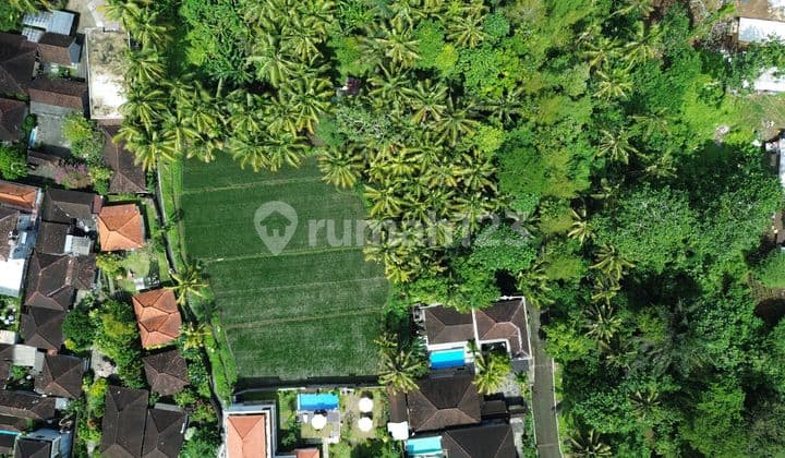Land For Rent Leasehold Located in Ubud Centre