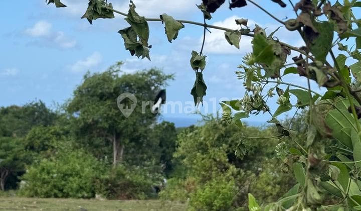Tanah Sangat Langka dengan Pemandangan Ocean View yang Berlokasi di Jalan Celagi Kuta Bali