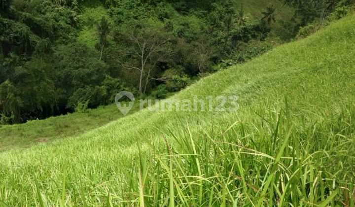 Tanah di Bangkiang Sidem Ubud dekat Monkey Forest Bali