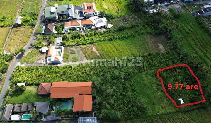 Tanah Lokasi di Pererenan Hanya 3 Menit ke Pantai