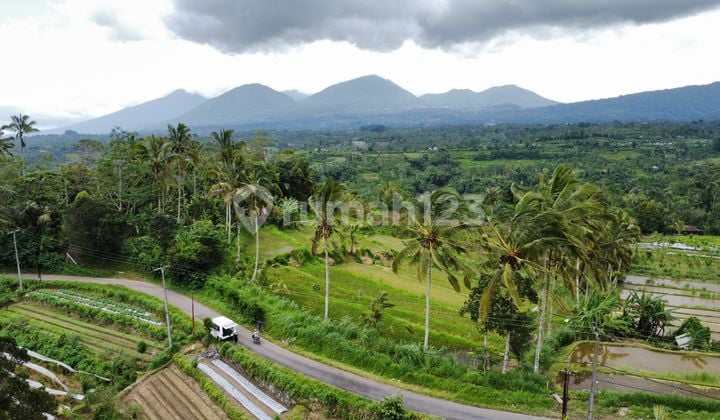 Cheap Land in Pucak Mangu Area, Badung Regency with Mountain View