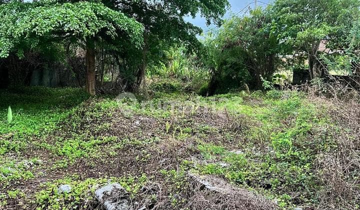 Tanah View Sawah Cocok untuk Villa di Jalan Pantai Berawa