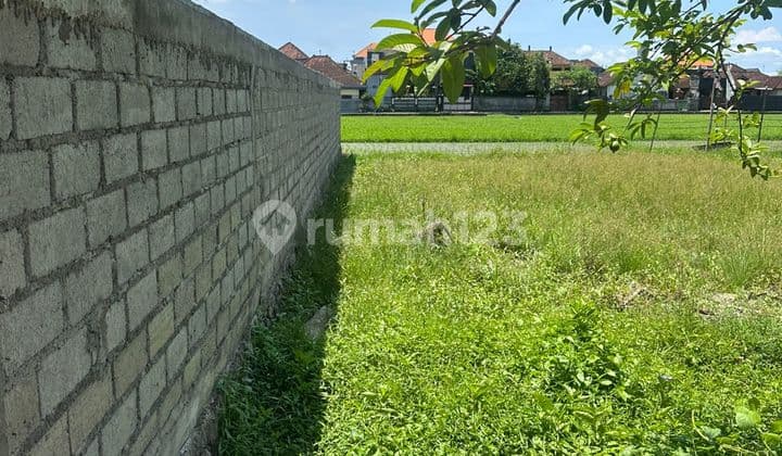 Tanah Kavling di Gunung Kalimutu Denpasar Barat Bali