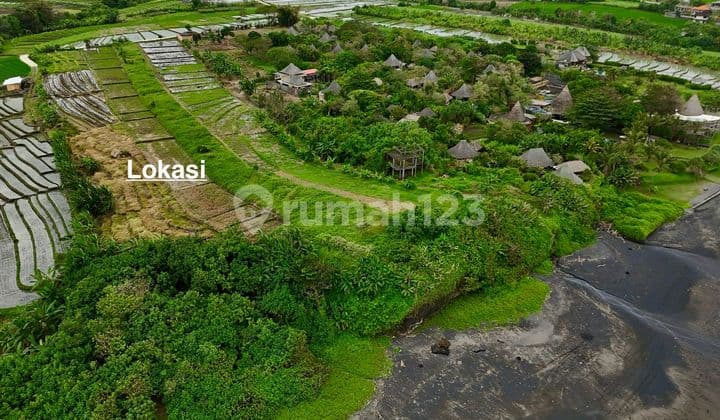 Land at Yeh Gangga Beach Bali with Rice Field and Beach Views